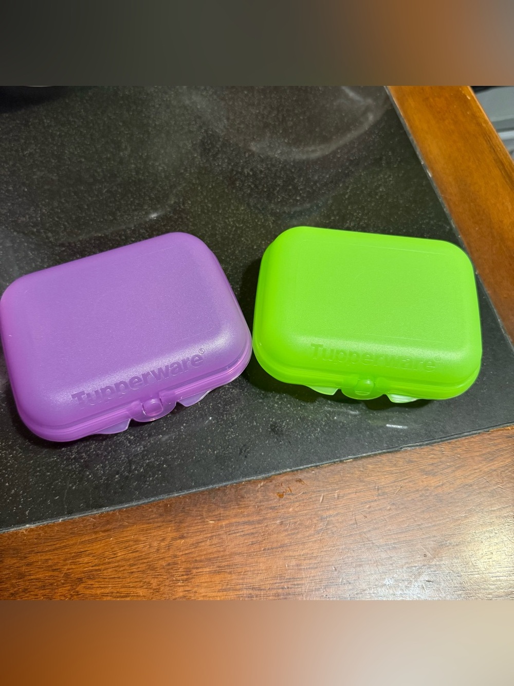 Tupperware Oyster Cases